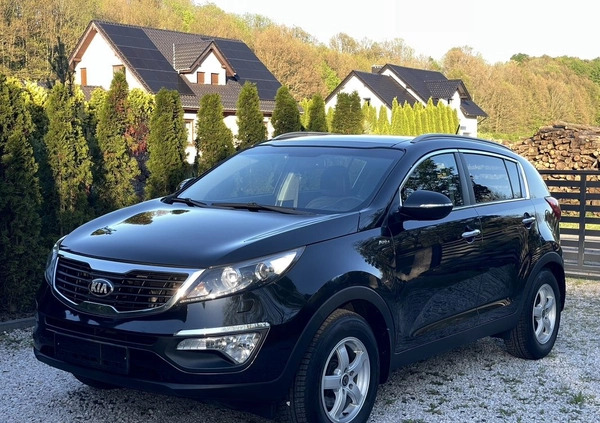 Kia Sportage cena 49900 przebieg: 218079, rok produkcji 2013 z Mogilno małe 326